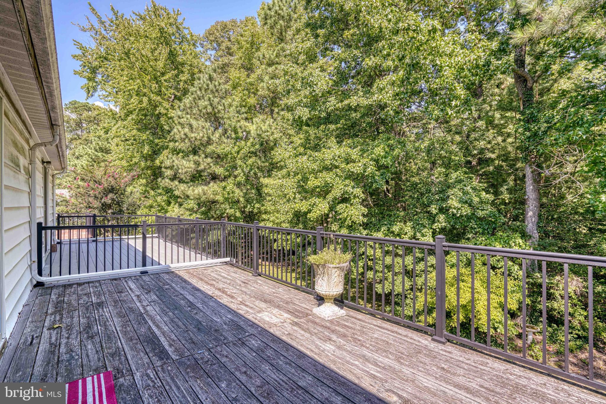 24362 Widgeon Place, Unit 4 St. Michaels, MD 21663 - Photo 33 of 41