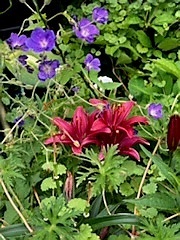 6844 West Stinemyer Road New Palestine, IN 46163 - Photo 72 of 99