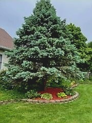 6844 West Stinemyer Road New Palestine, IN 46163 - Photo 84 of 99