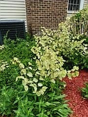 6844 West Stinemyer Road New Palestine, IN 46163 - Photo 88 of 99