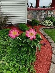 6844 West Stinemyer Road New Palestine, IN 46163 - Photo 93 of 99