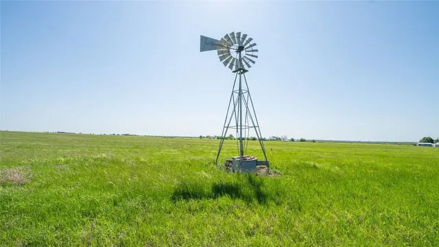 a view of a backyard with a plants and a fountain