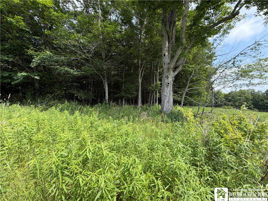 2751 Canfield Road Cohocton, NY 14826 - Photo 30 of 50