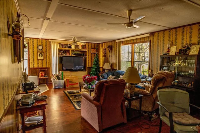 a view of a forest with trees in the background