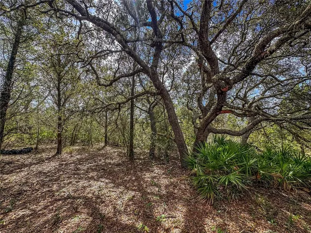 a black and white photo of a room