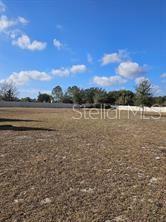 25118 Lambrusco Loop Lutz, FL 33559 - Photo 20 of 23