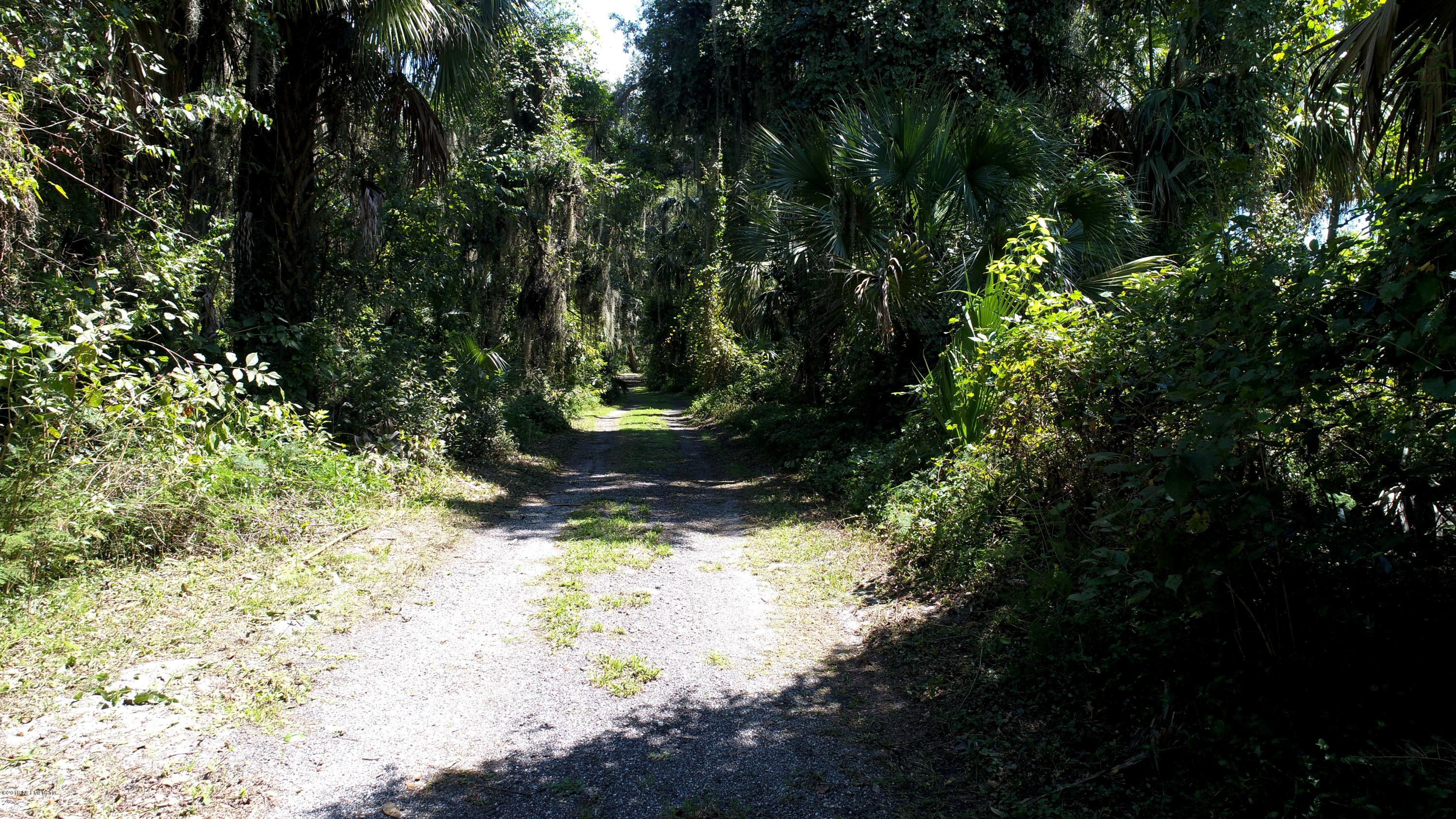 357 East Buffalo Bluff Road Satsuma, FL 32189 - Photo 43 of 47 Private driveway