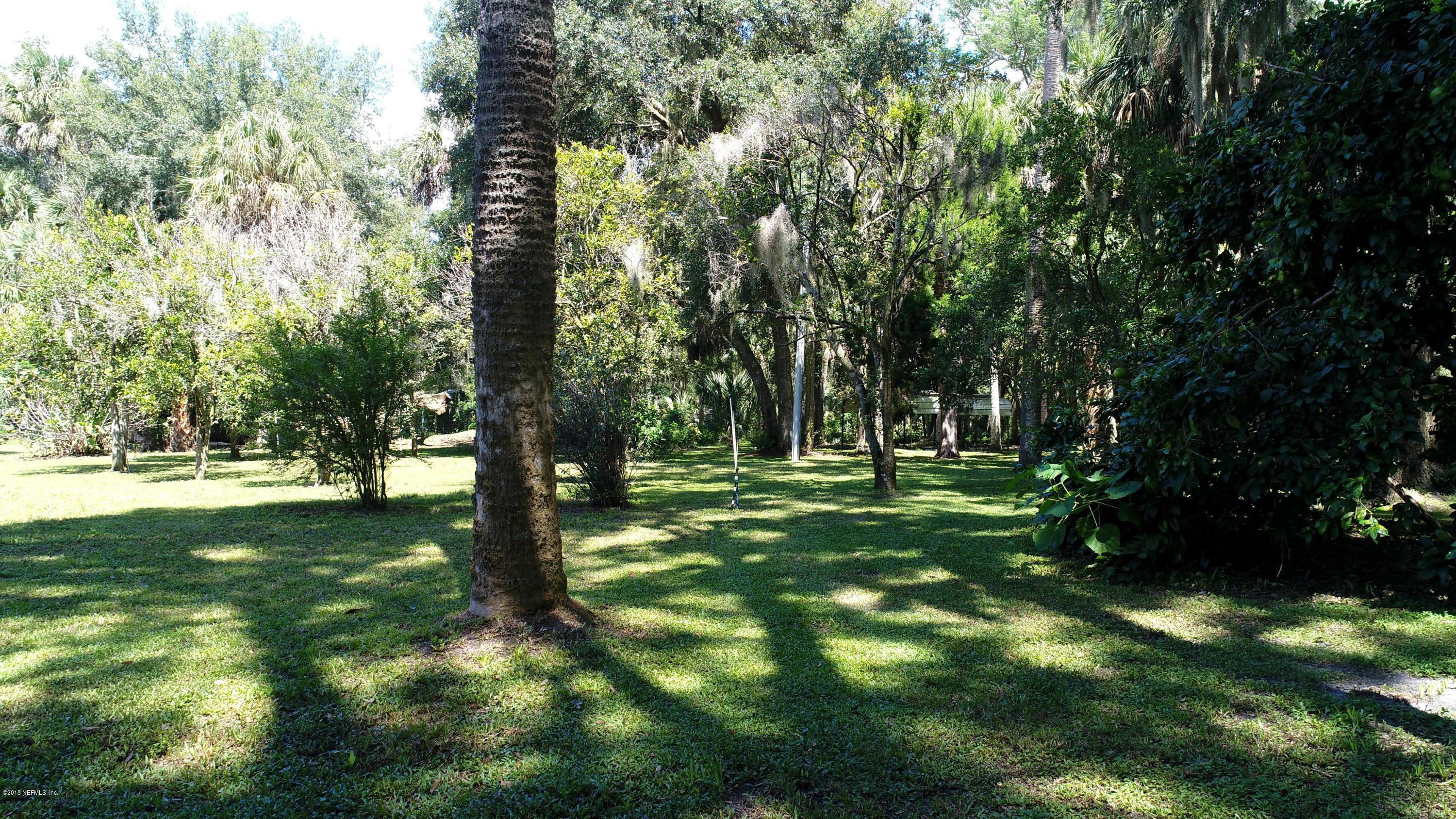357 East Buffalo Bluff Road Satsuma, FL 32189 - Photo 44 of 47 Yard view