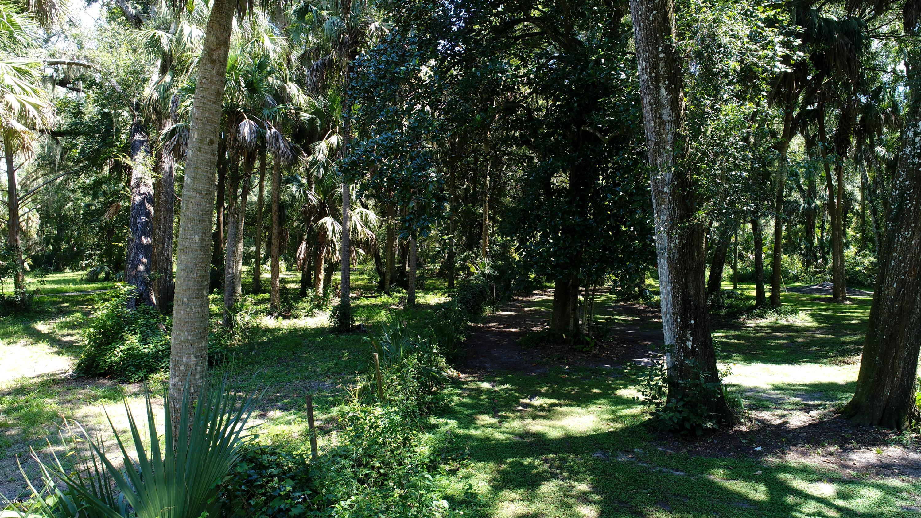 357 East Buffalo Bluff Road Satsuma, FL 32189 - Photo 45 of 47 Yard view