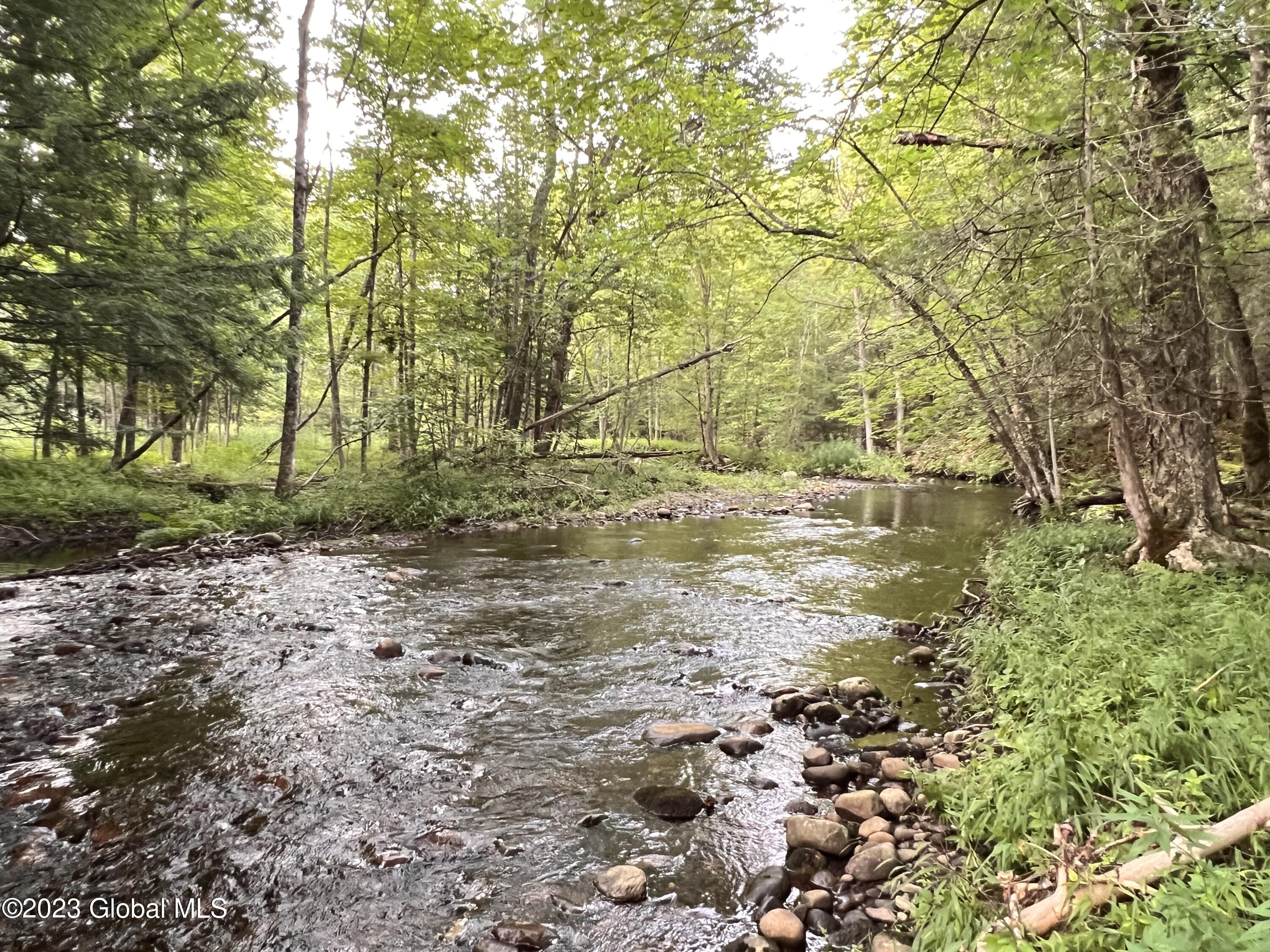 L14.100 Cheney Pond Road Minerva, NY 12851 - Photo 1 of 25 Minerva Creek, west side of property