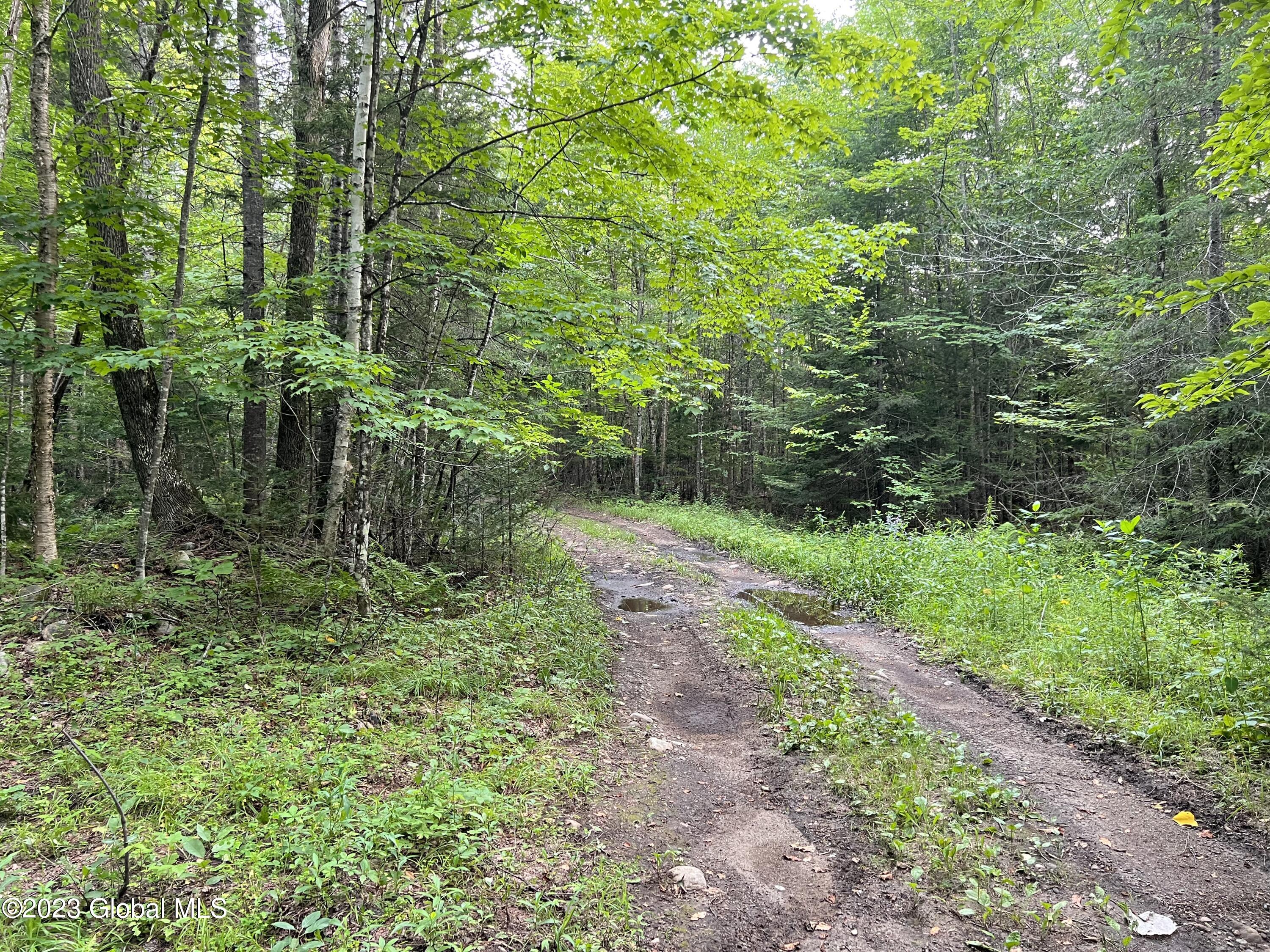 L14.100 Cheney Pond Road Minerva, NY 12851 - Photo 21 of 25 IMG_0477