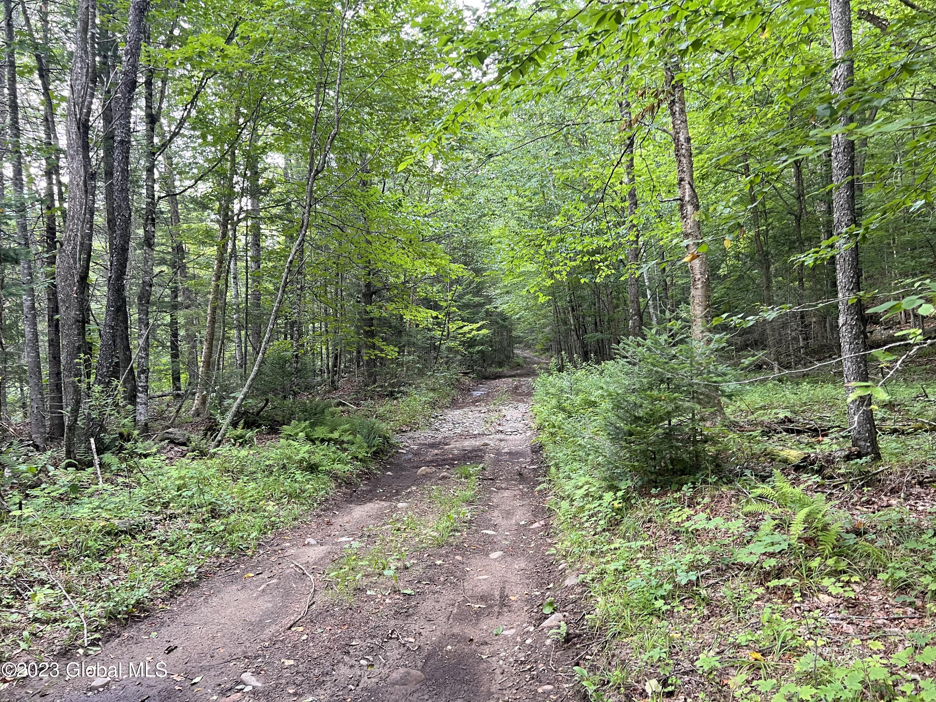 L14.100 Cheney Pond Road Minerva, NY 12851 - Photo 22 of 25 IMG_0476