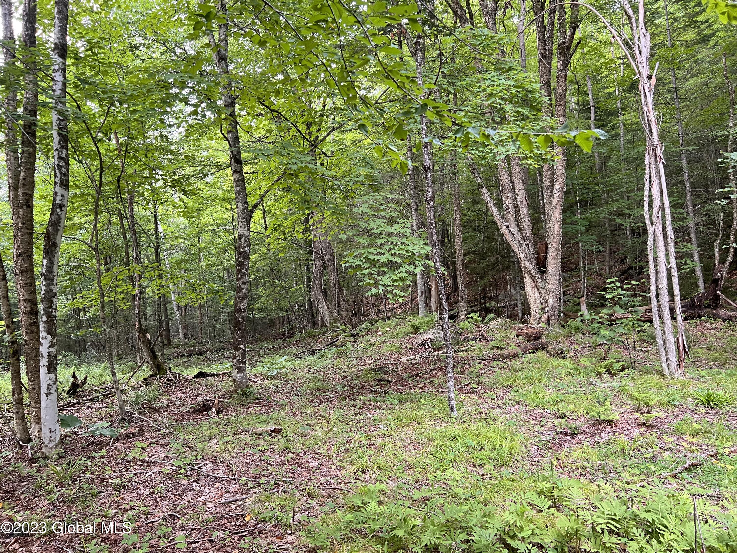 L14.100 Cheney Pond Road Minerva, NY 12851 - Photo 23 of 25 IMG_0475