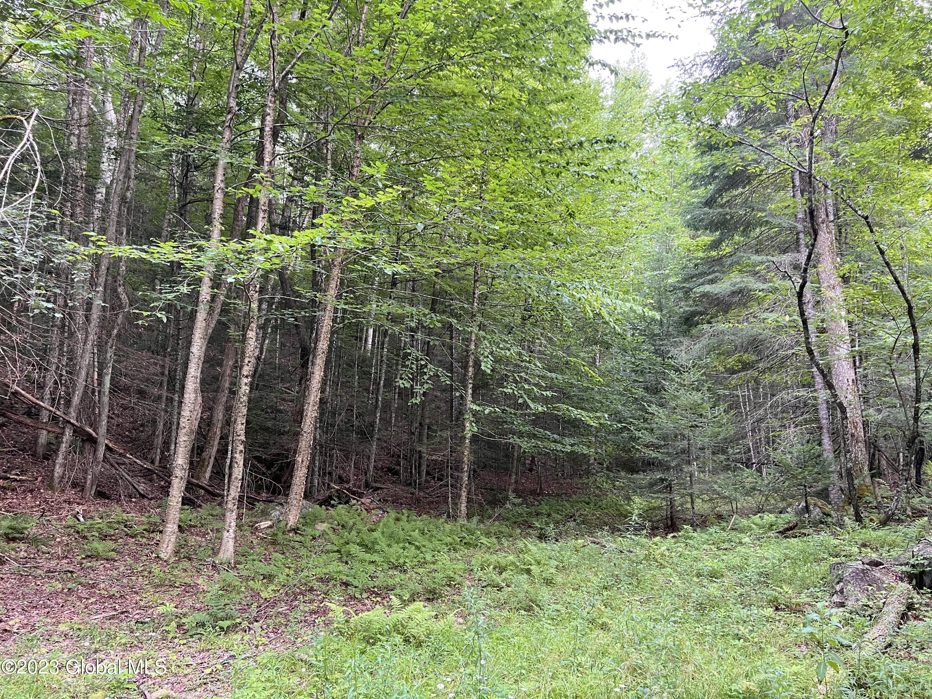 L14.100 Cheney Pond Road Minerva, NY 12851 - Photo 25 of 25 IMG_0472