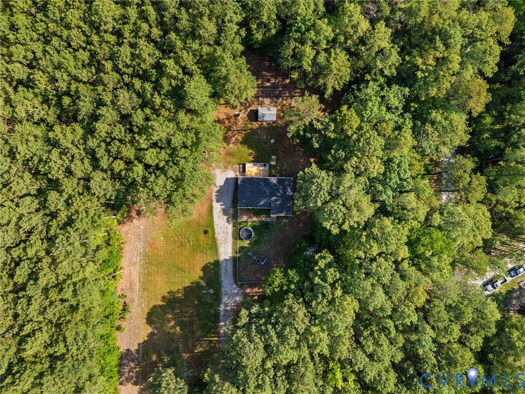 14175 Lebanon Road Disputanta, VA 23842 - Photo 51 of 60 Wooded acreage with a single-story residence and o