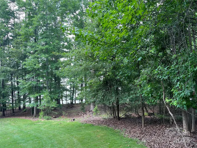 a view of a backyard with plants and large trees