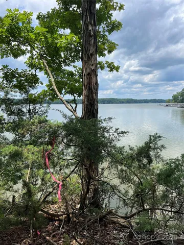 a view of a lake with a tree in the background