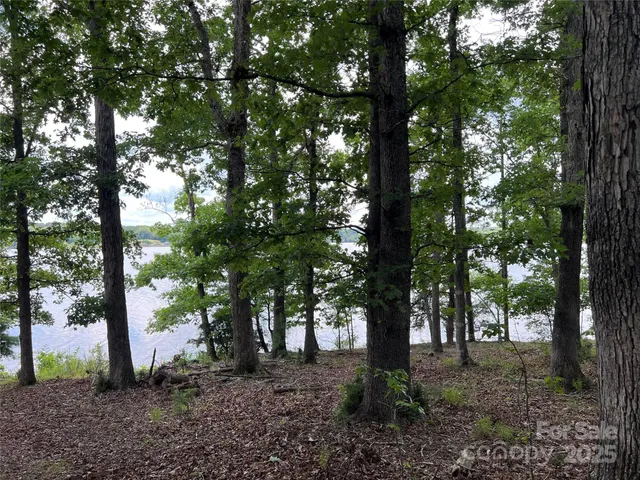 a view of outdoor space and tree