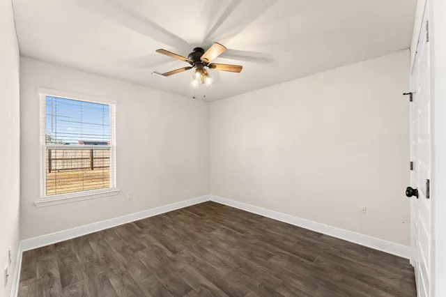 a view of backyard with large tree
