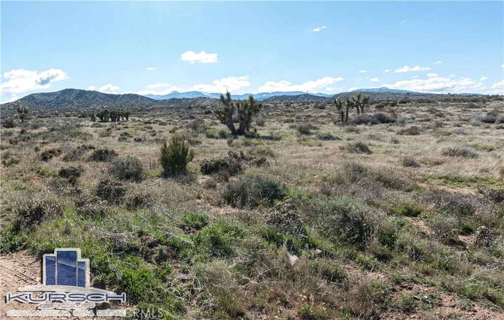 0 Cygnet Road Phelan, CA 92371 - Photo 4 of 4 a view of a dry yard with mountains in the background