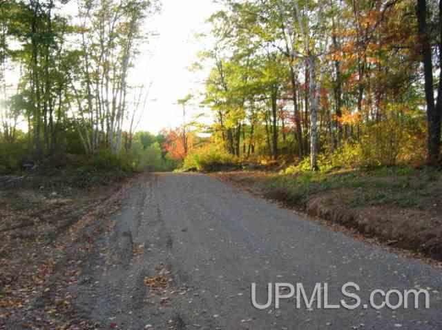 T-wi Campbell Road, Unit PCL 8 Florence, WI 54121 - Photo 2 of 2