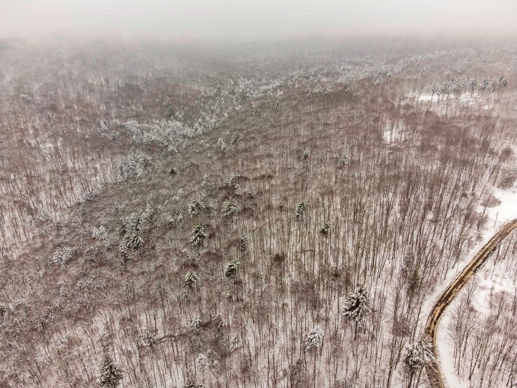 Lot 8 Monroe Road Drury, MA 01343 - Photo 12 of 19 Gallery Image 12