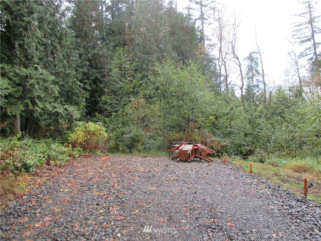 762 Coal Creek Road Chehalis, WA 98532 - Photo 3 of 8