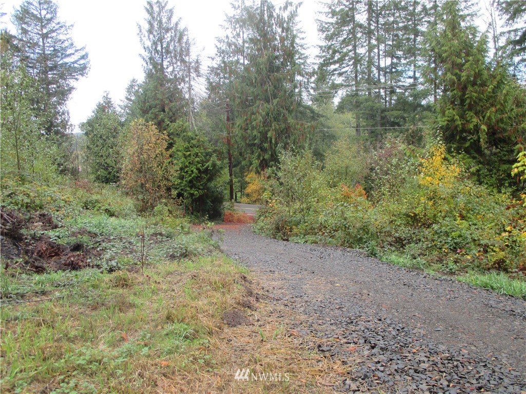 762 Coal Creek Road Chehalis, WA 98532 - Photo 4 of 8