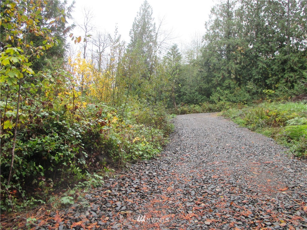 762 Coal Creek Road Chehalis, WA 98532 - Photo 5 of 8
