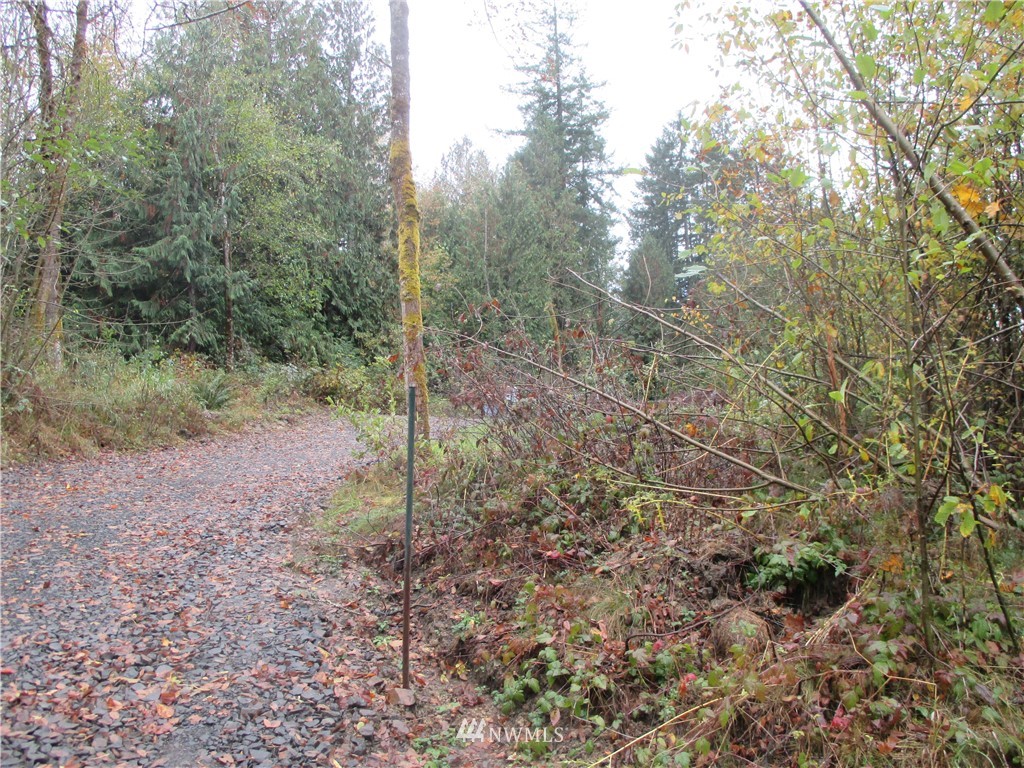 762 Coal Creek Road Chehalis, WA 98532 - Photo 8 of 8