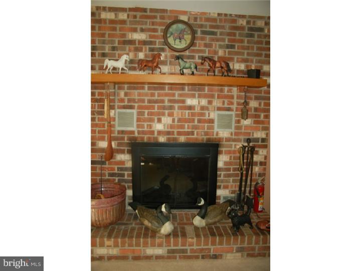 14 Pawtucket Road West Grove, PA 19390 - Photo 3 of 20 Fireplace