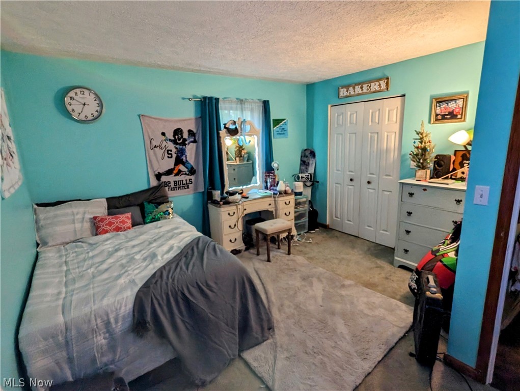 7272 Poore Road Conneaut, OH 44030 - Photo 22 of 26 Bedroom with a textured ceiling, a closet, and carpet floors