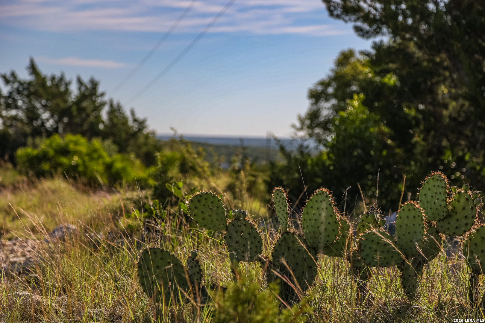 0 Deer Canyons Ranch Rocksprings, TX 78880 - Photo 5 of 39