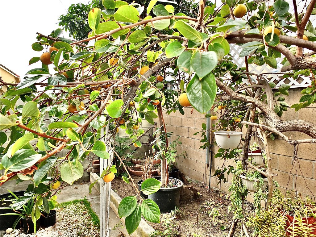 15121 Rancho Clemente Drive Paramount, CA 90723 - Photo 35 of 40