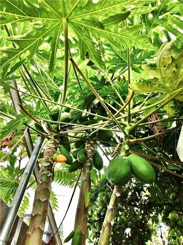 $825,000 | 15121 Rancho Clemente Drive, Paramount, CA 90723