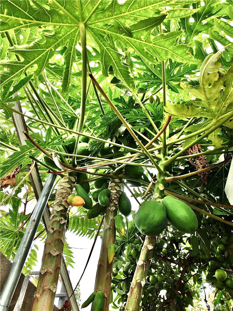 15121 Rancho Clemente Drive Paramount, CA 90723 - Photo 38 of 40