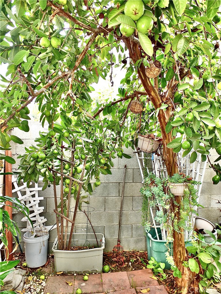 15121 Rancho Clemente Drive Paramount, CA 90723 - Photo 39 of 40