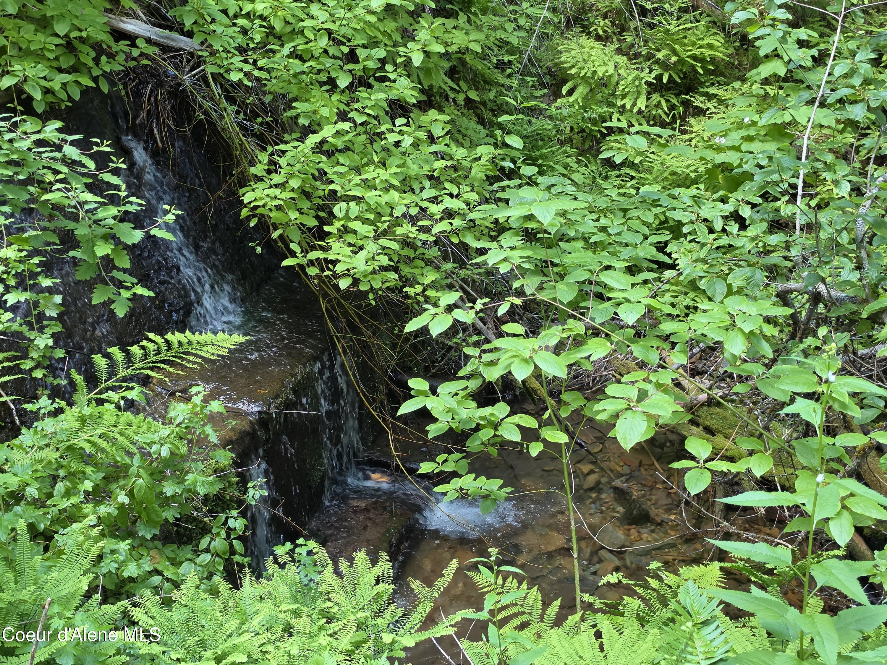 480 Dunn Peak Road Avery, ID 83802 - Photo 12 of 66 Avery Creek