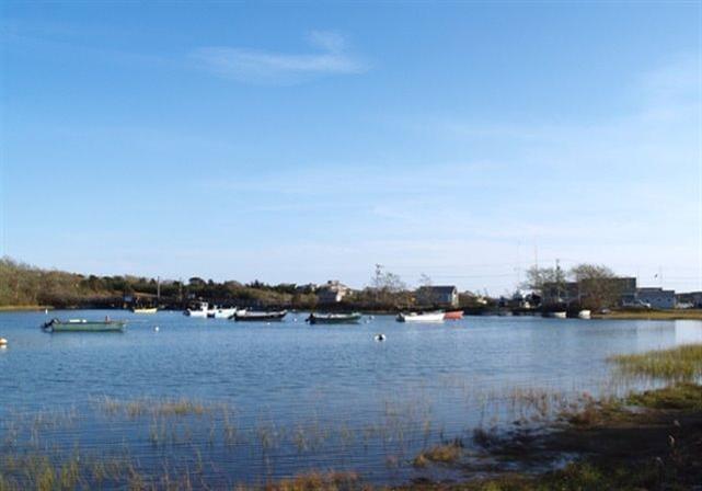 162 Seapine Road North Chatham, MA 02650 - Photo 13 of 14 Additional Photo