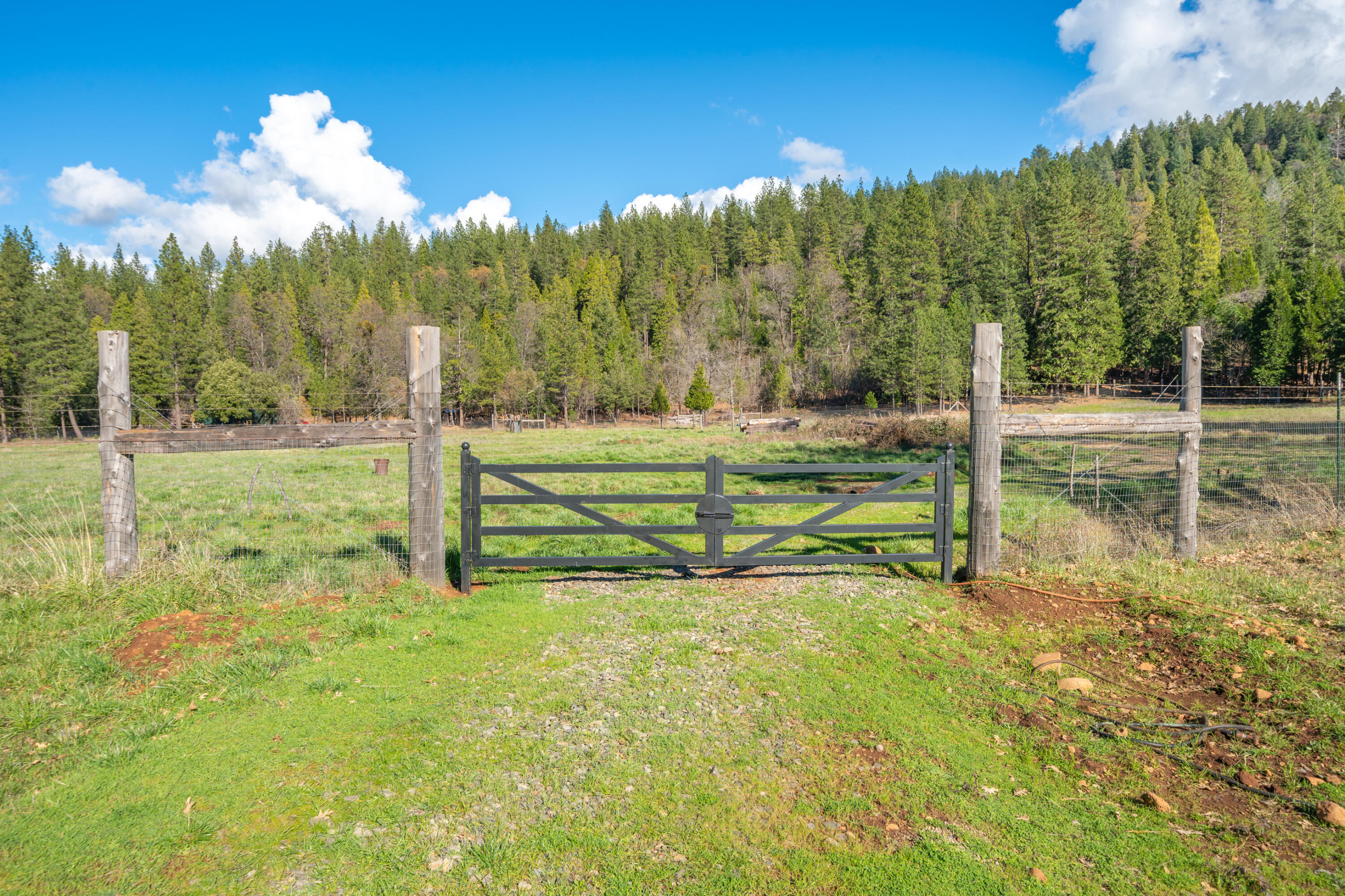 29276 Bullskin Ridge Road Oak Run, CA 96069 - Photo 104 of 113 29276 Bullskin Ridge Rd-130