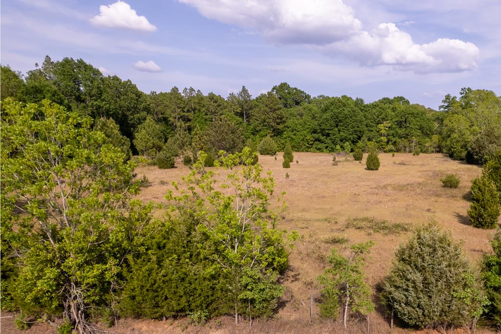 0 Hubbard Road Newton, AL 36352 - Photo 15 of 15