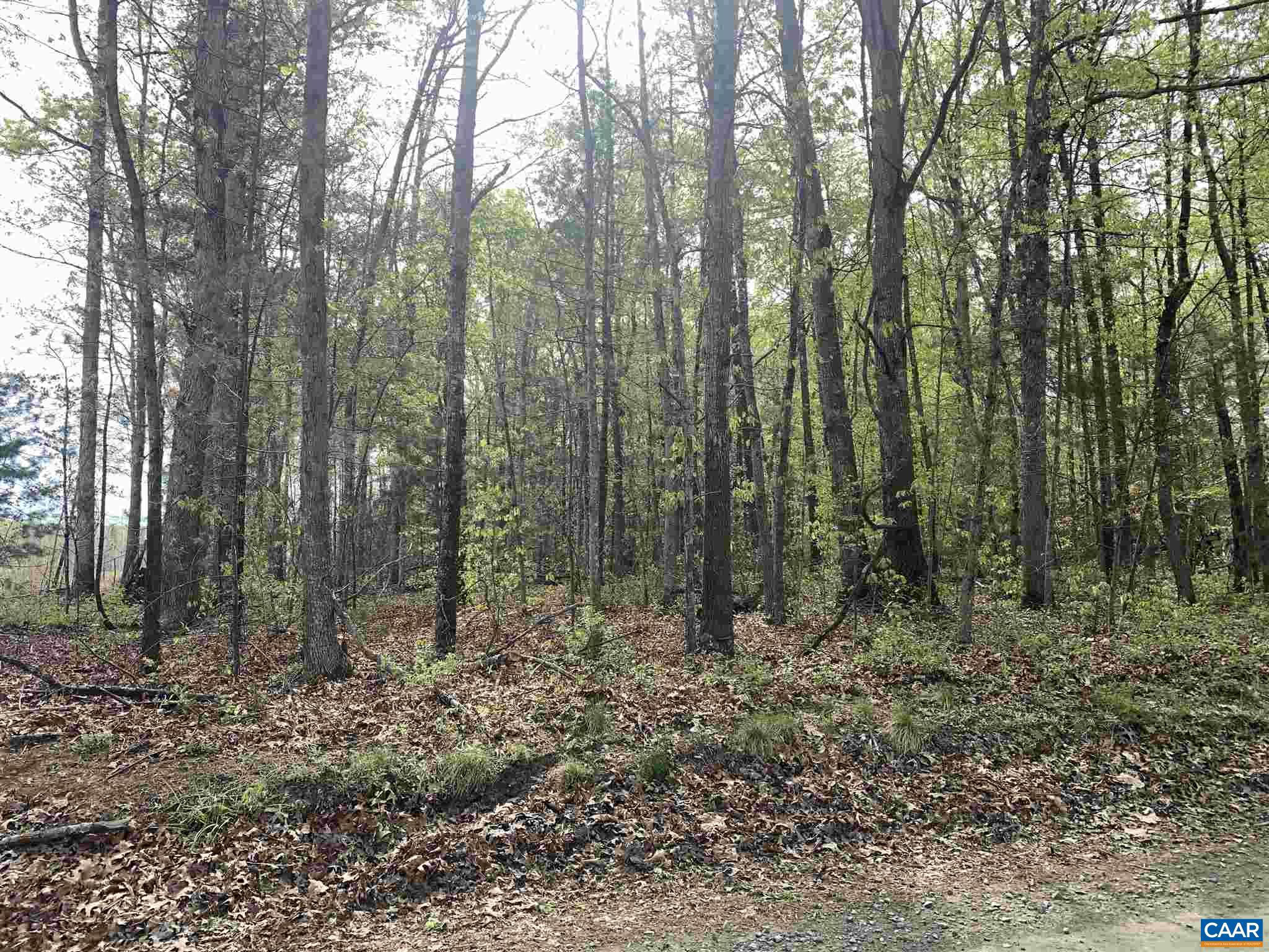0 Hawfield Road Unionville, VA 22567 - Photo 4 of 9 Gallery Image 4