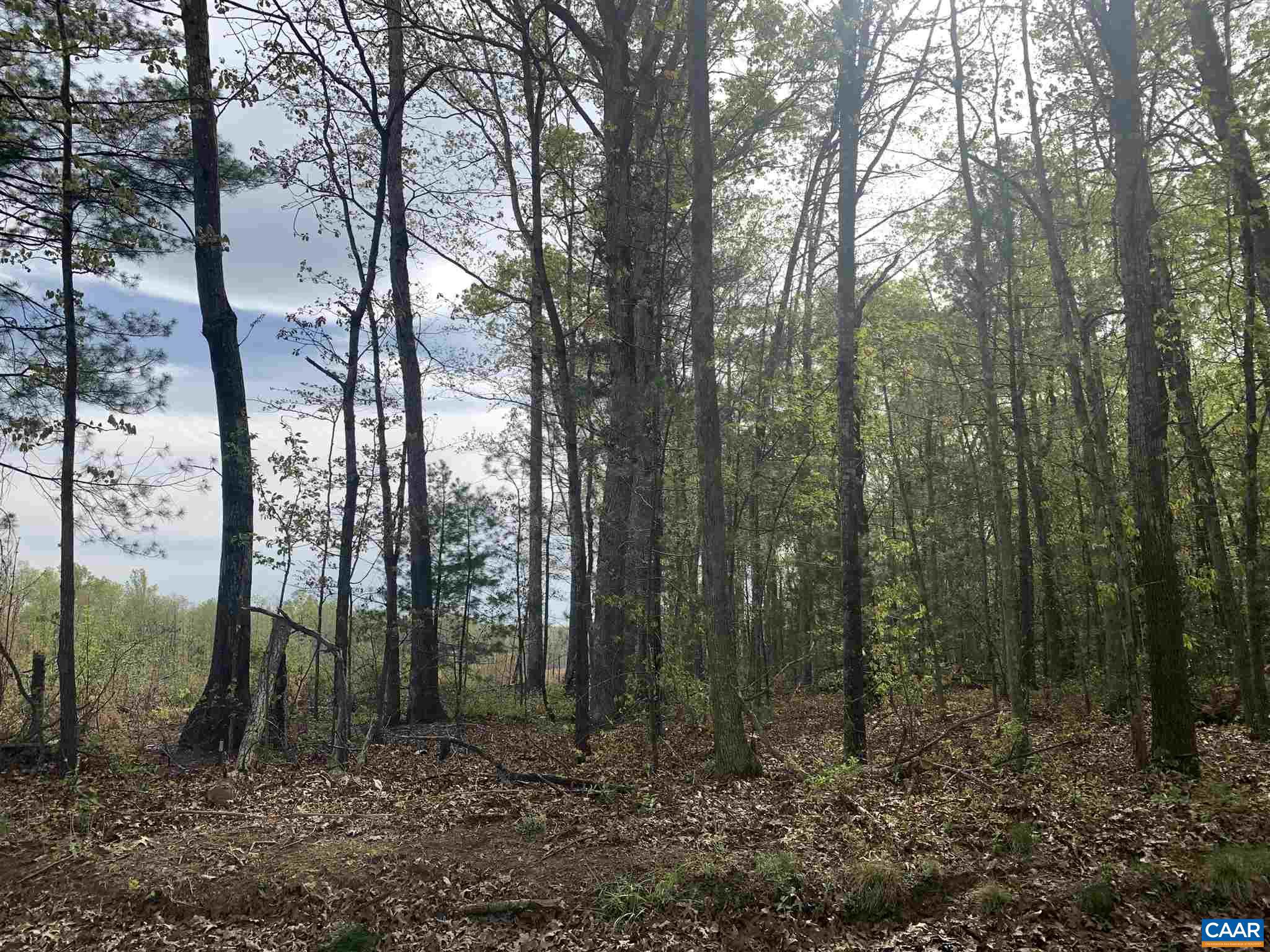 0 Hawfield Road Unionville, VA 22567 - Photo 6 of 9 Gallery Image 6