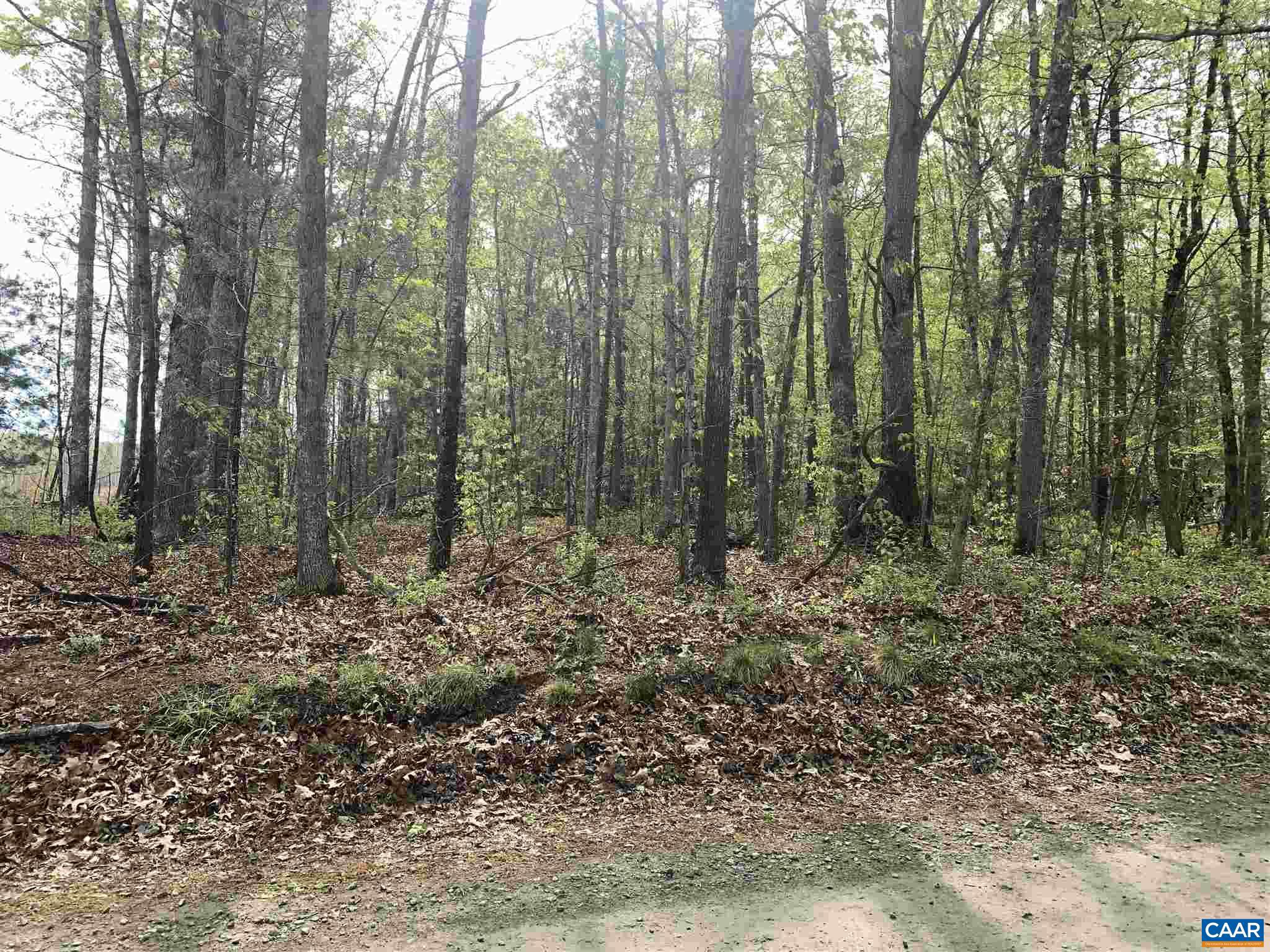 0 Hawfield Road Unionville, VA 22567 - Photo 7 of 9 Gallery Image 7