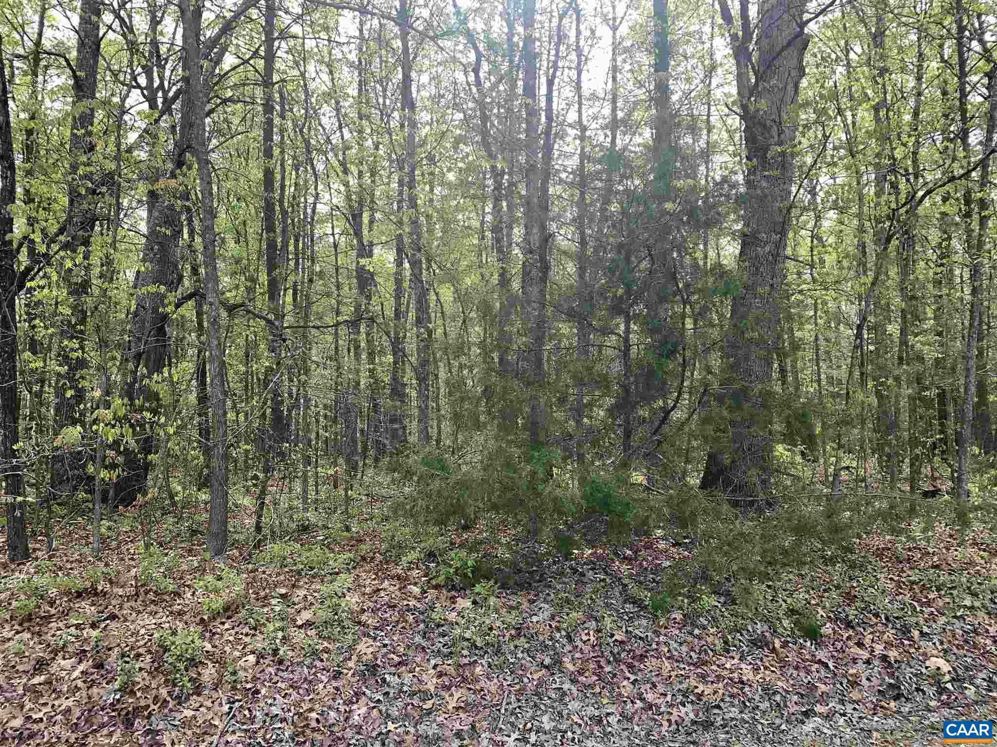 0 Hawfield Road Unionville, VA 22567 - Photo 8 of 9 Gallery Image 8