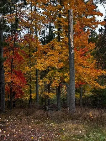 $449,900 | 28478 Jesse Ryan Court, Danbury, WI 54830