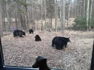 $449,900 | 28478 Jesse Ryan Court, Danbury, WI 54830