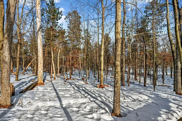 $449,900 | 28478 Jesse Ryan Court, Danbury, WI 54830