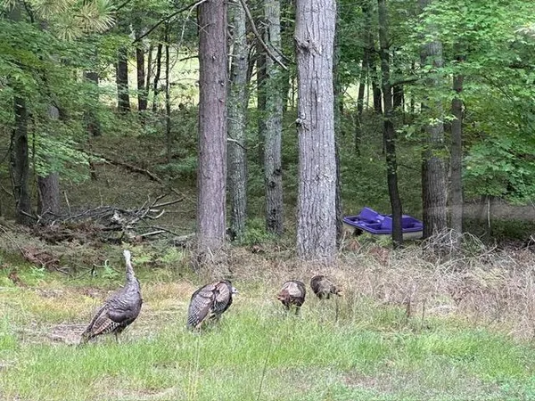 $449,900 | 28478 Jesse Ryan Court, Danbury, WI 54830