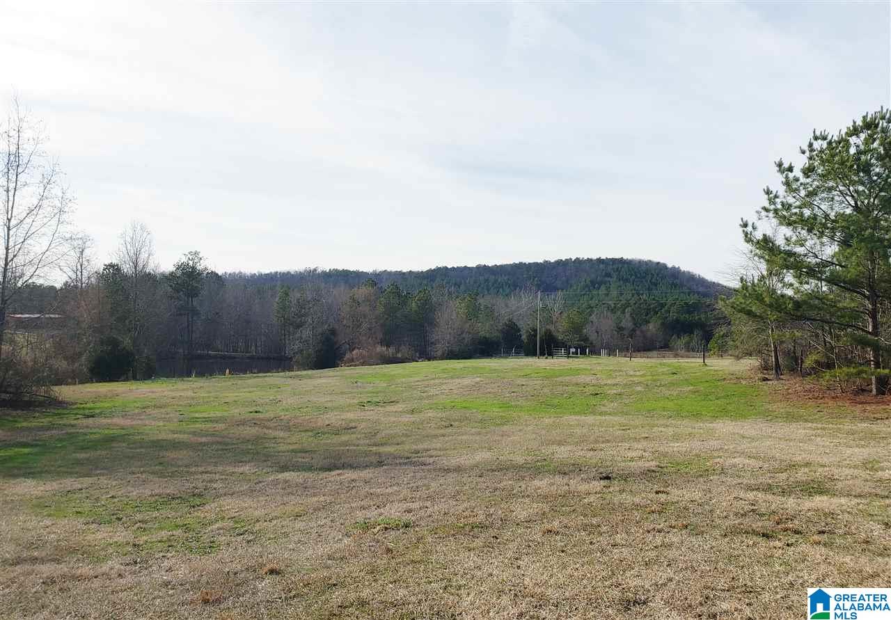 1430 Dripping Rock Road Piedmont, AL 36272 - Photo 21 of 41